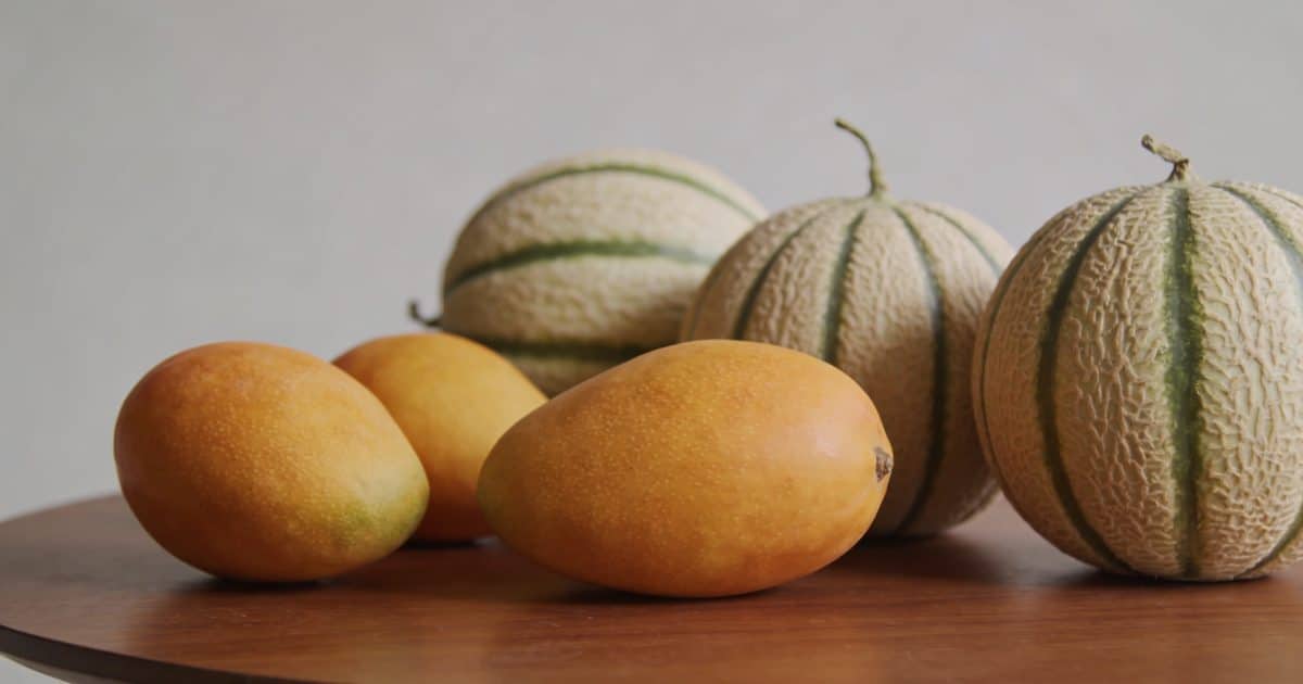 Assortiment de mangues et melons entiers sur table